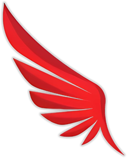 Aile gauche du logo Valet Luxury Services